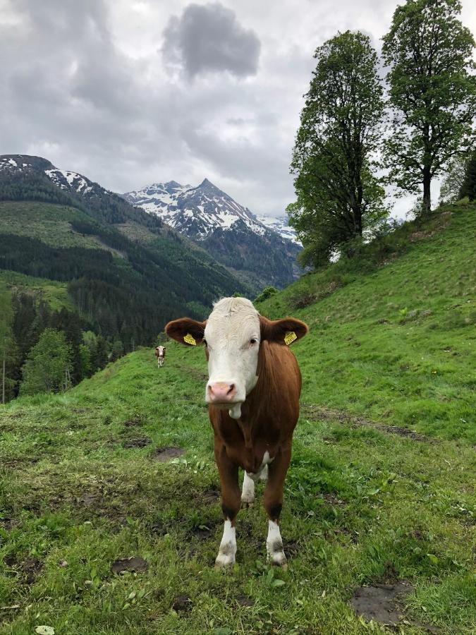 Zauneralm Aich  Exterior foto